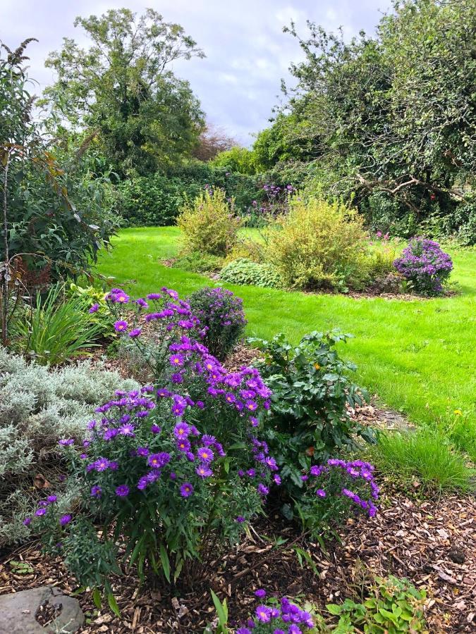 Dingle Garden Townhouse Bed and Breakfast Eksteriør billede The gardens at the centre