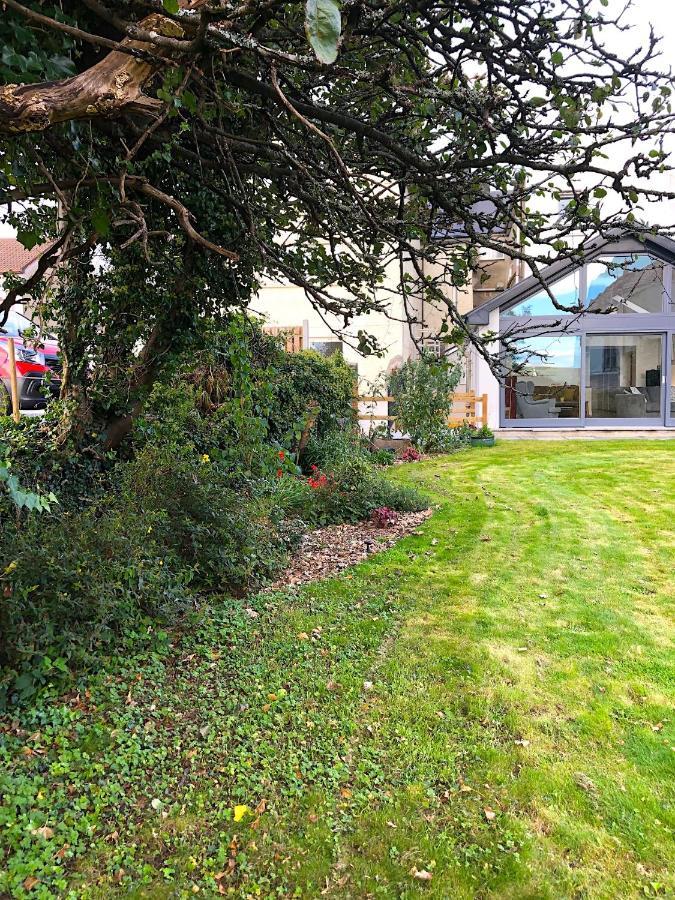 Dingle Garden Townhouse Bed and Breakfast Eksteriør billede The garden of the house