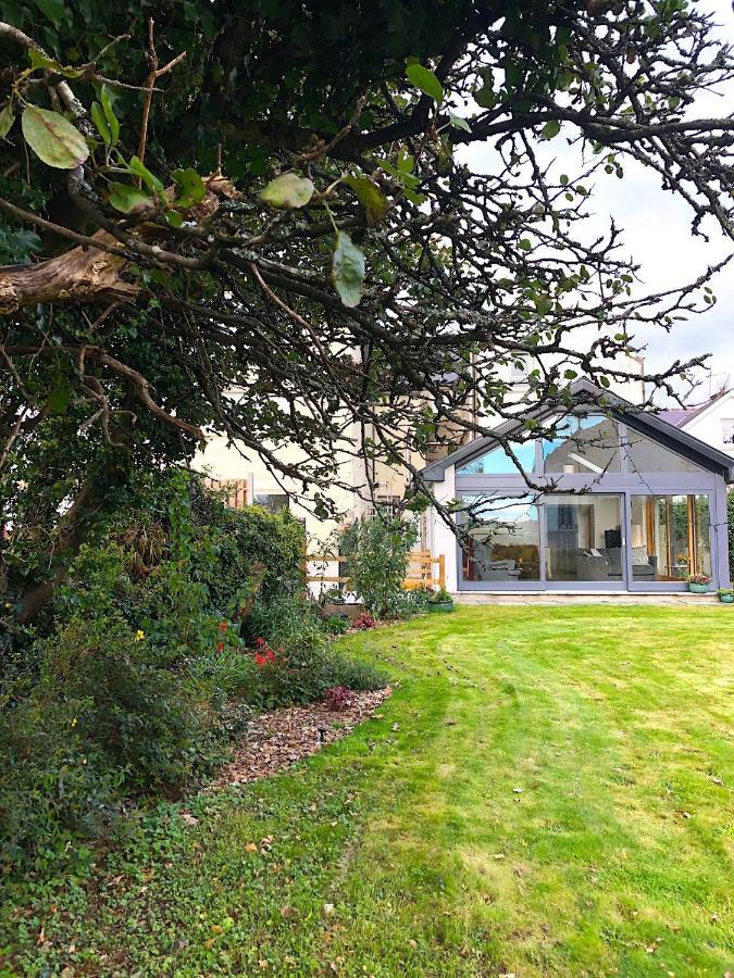 Dingle Garden Townhouse Bed and Breakfast Eksteriør billede The garden of the house